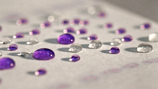 Magnetic Super-Paper Can Shrug Off Water and Bacteria